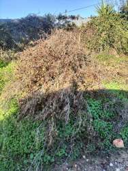 Photo of this report