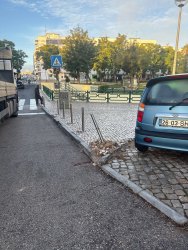 Photo of this report