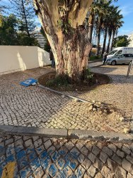 Photo of this report