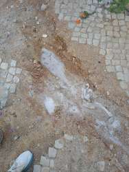 Photo of this report