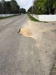 Photo of this report