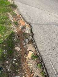 Photo of this report