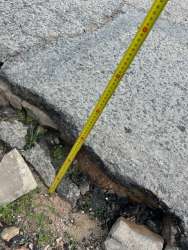 Photo of this report