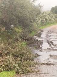 Photo of this report