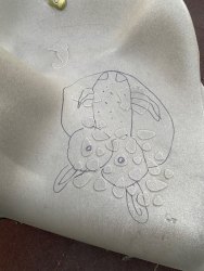 Photo of this report