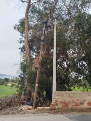 Photo of this report