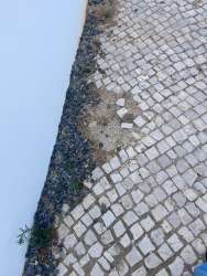 Photo of this report