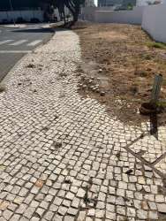 Photo of this report