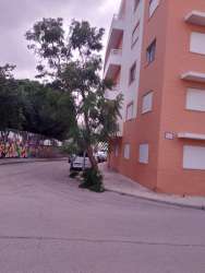 Photo of this report