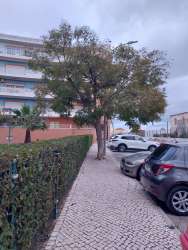 Photo of this report