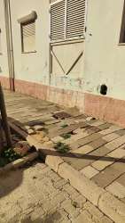 Photo of this report