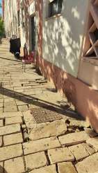 Photo of this report