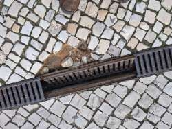 Photo of this report