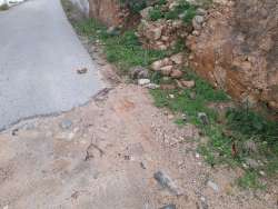 Photo of this report