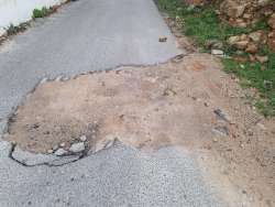 Photo of this report