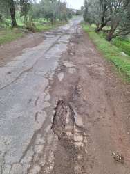 Photo of this report