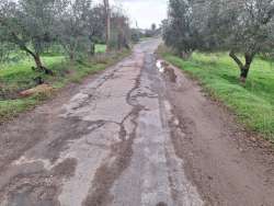 Photo of this report