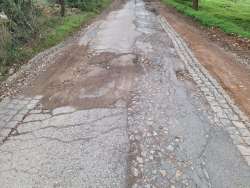 Photo of this report