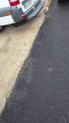 Photo of this report