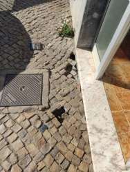 Photo of this report