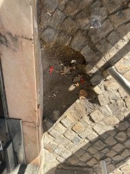 Photo of this report