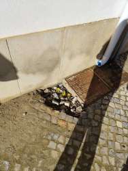 Photo of this report