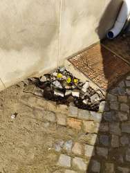 Photo of this report