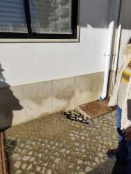 Photo of this report