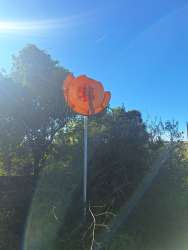 Photo of this report