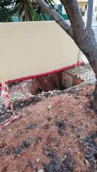 Photo of this report