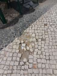 Photo of this report