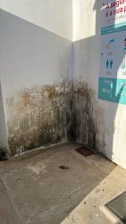 Photo of this report