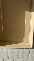 Photo of this report