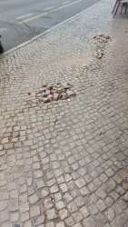 Photo of this report