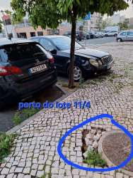 Photo of this report