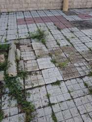 Photo of this report