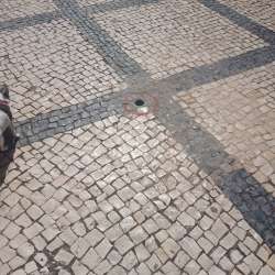 Photo of this report