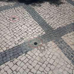 Photo of this report