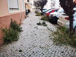 Photo of this report