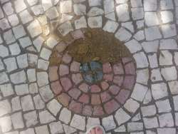 Photo of this report