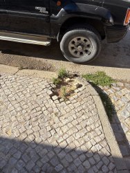 Photo of this report