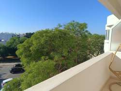 Photo of this report