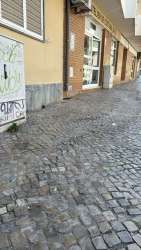 Photo of this report