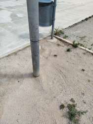 Photo of this report