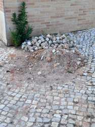 Photo of this report