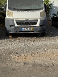 Photo of this report