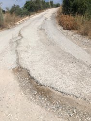 Photo of this report