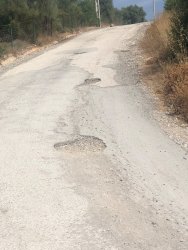 Photo of this report