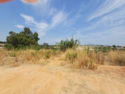 Photo of this report