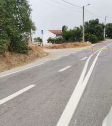 Photo of this report